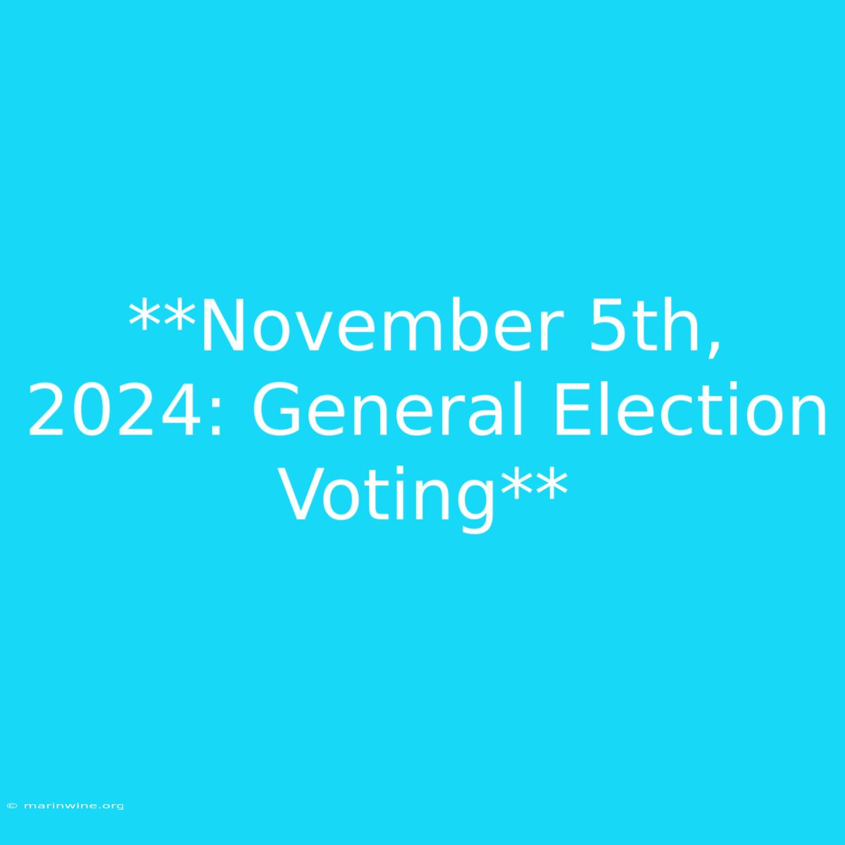 **November 5th, 2024: General Election Voting** 