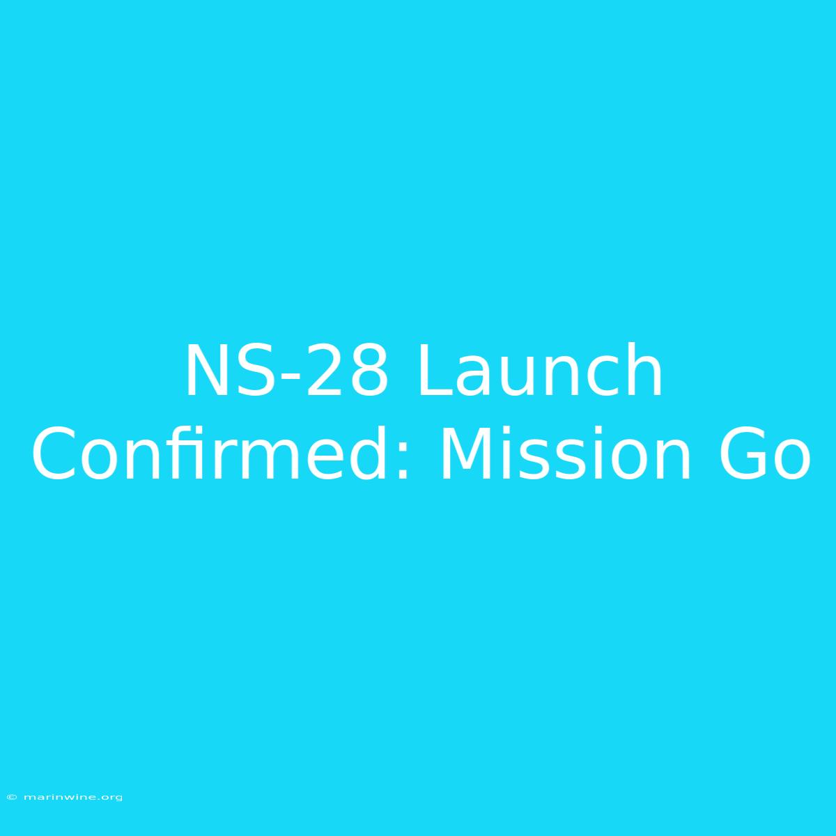 NS-28 Launch Confirmed: Mission Go