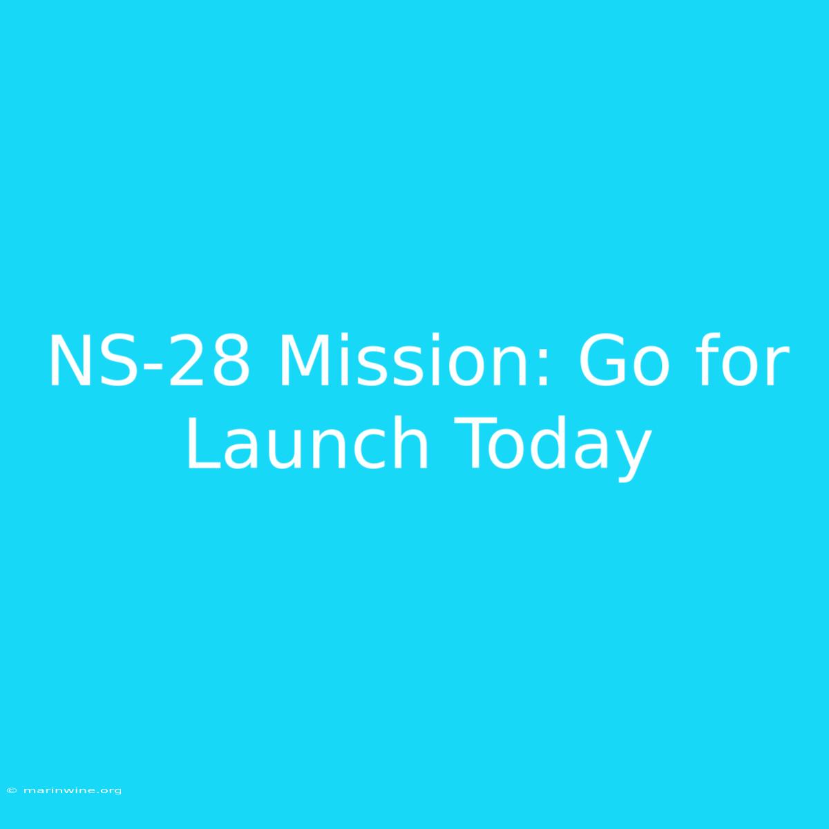 NS-28 Mission: Go For Launch Today