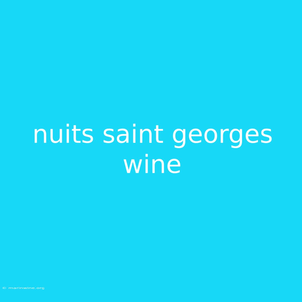 Nuits Saint Georges Wine