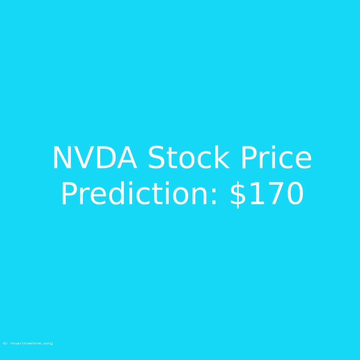 NVDA Stock Price Prediction: $170