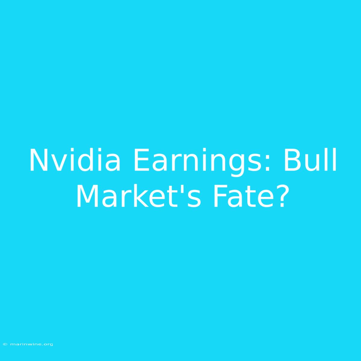 Nvidia Earnings: Bull Market's Fate?