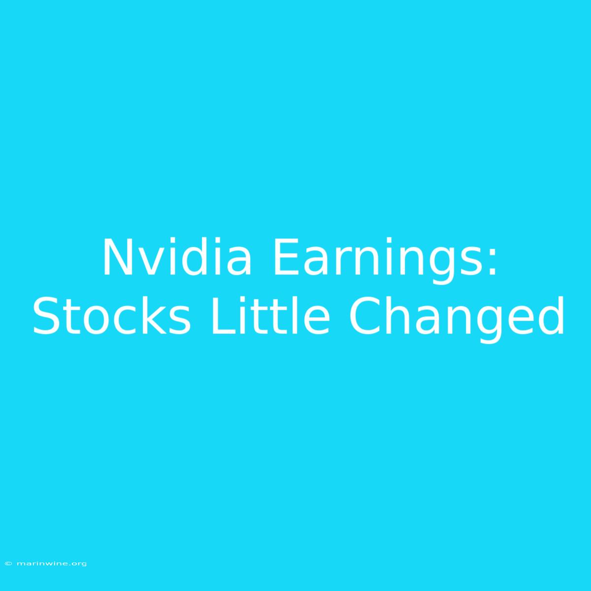 Nvidia Earnings: Stocks Little Changed