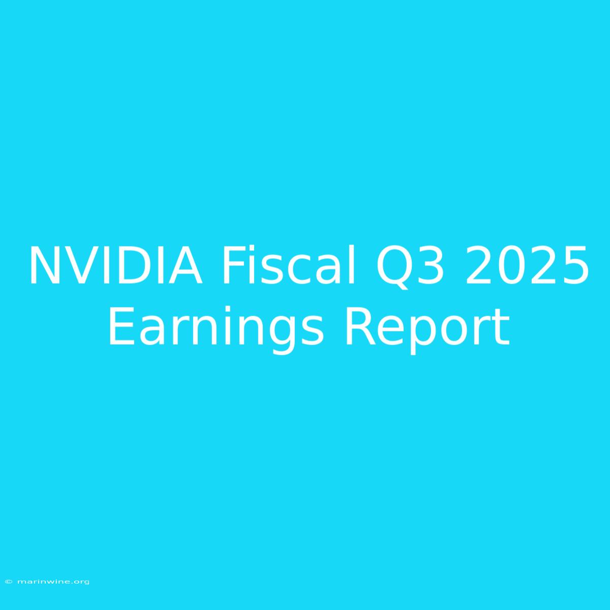 NVIDIA Fiscal Q3 2025 Earnings Report