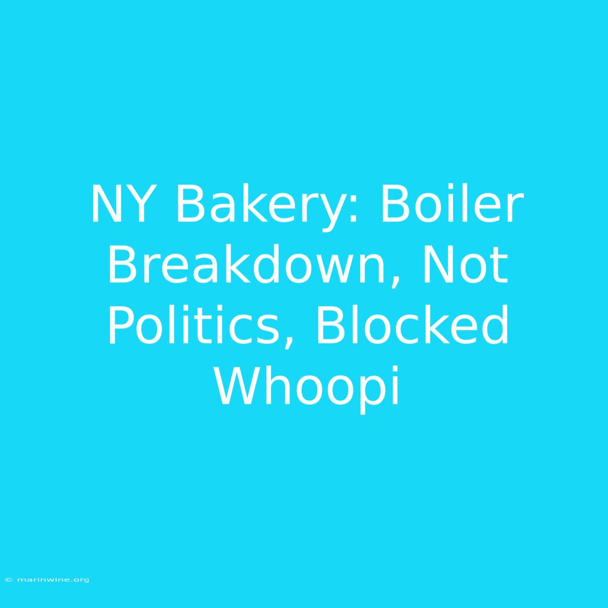 NY Bakery: Boiler Breakdown, Not Politics, Blocked Whoopi