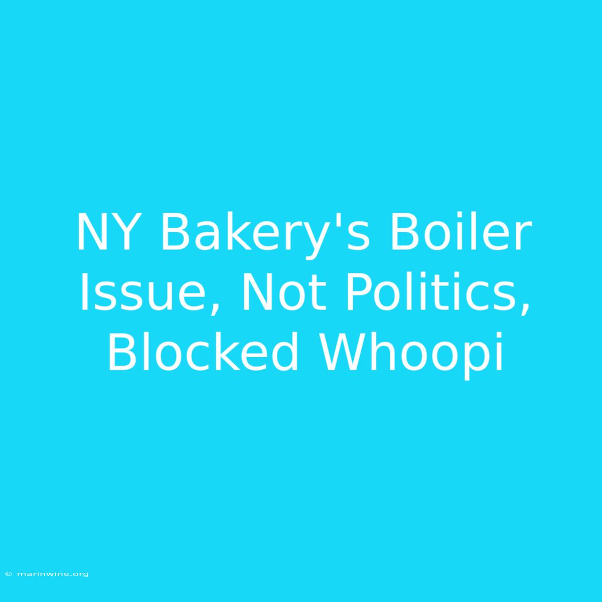 NY Bakery's Boiler Issue, Not Politics, Blocked Whoopi