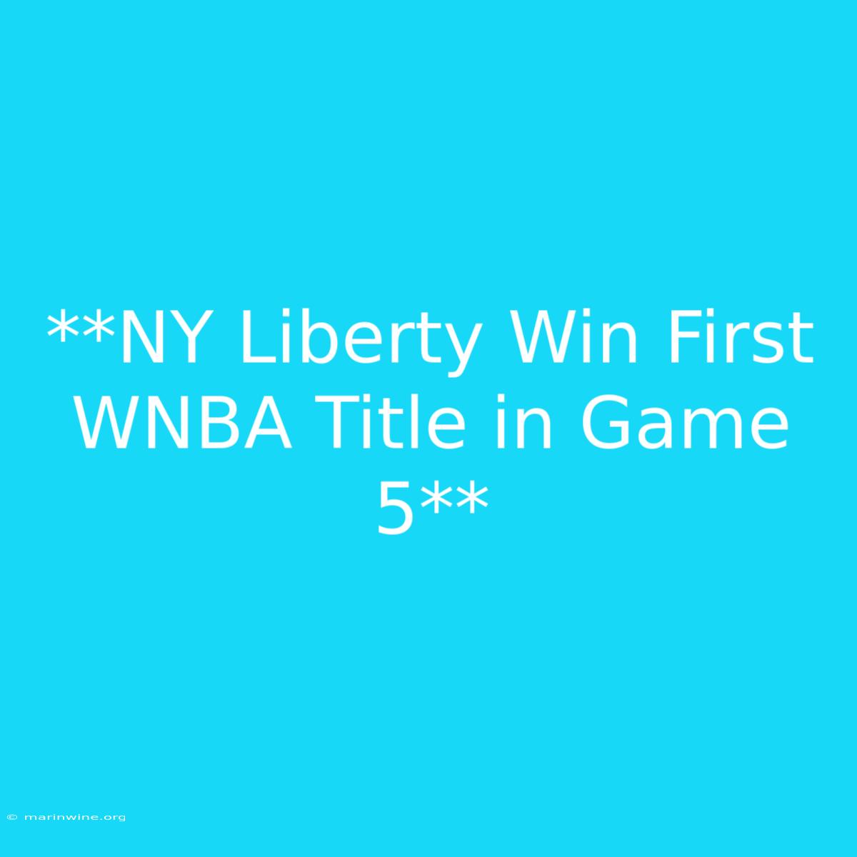 **NY Liberty Win First WNBA Title In Game 5**