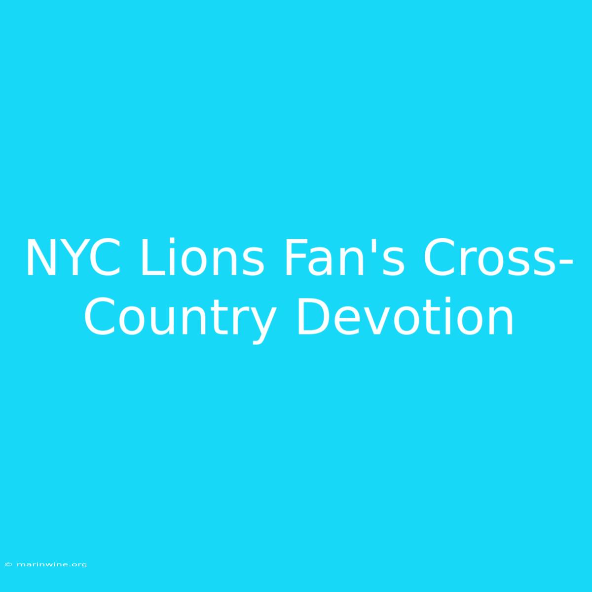 NYC Lions Fan's Cross-Country Devotion