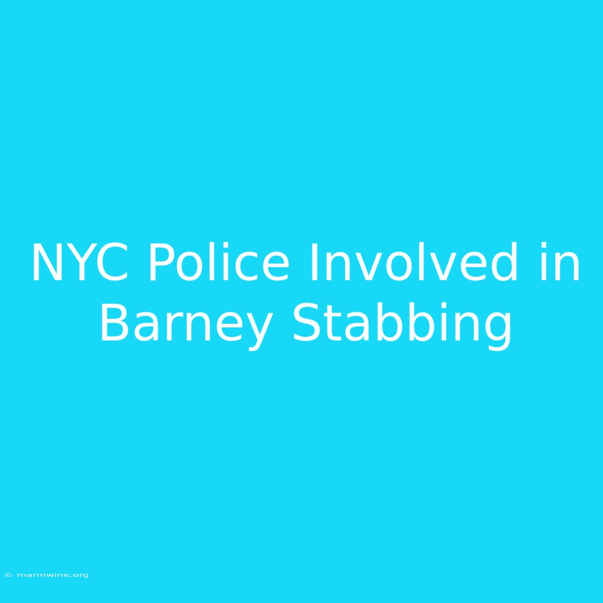 NYC Police Involved In Barney Stabbing