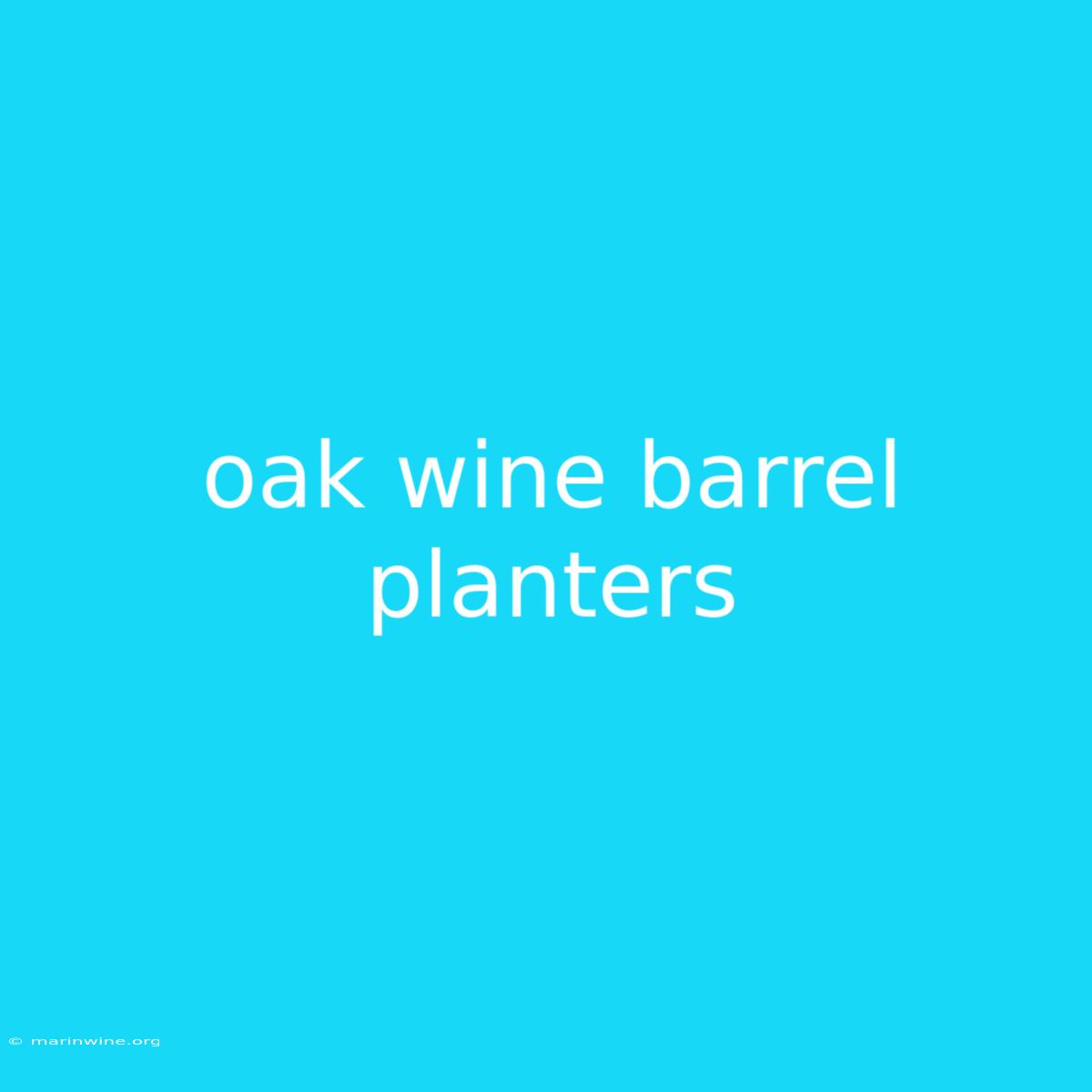 Oak Wine Barrel Planters