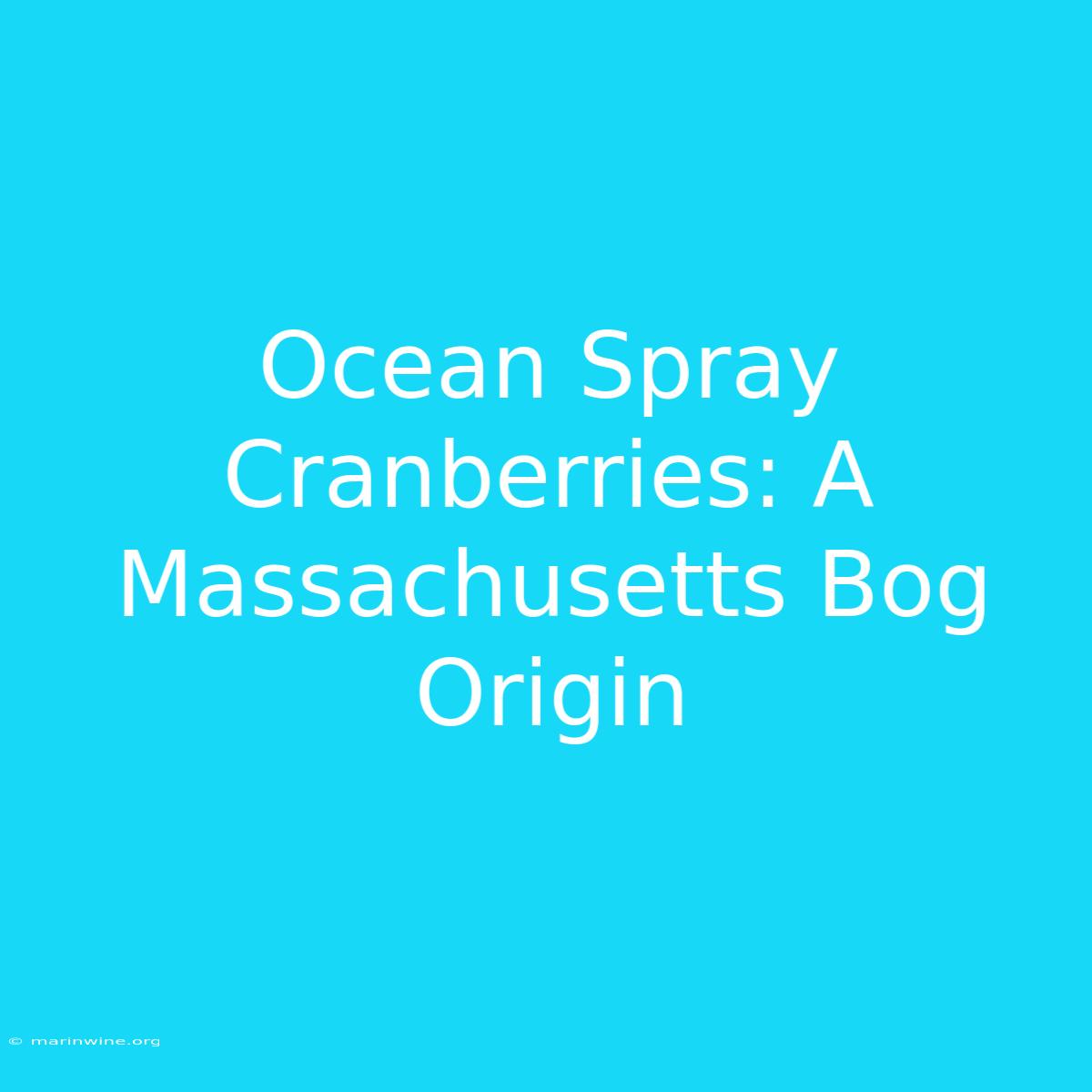 Ocean Spray Cranberries: A Massachusetts Bog Origin