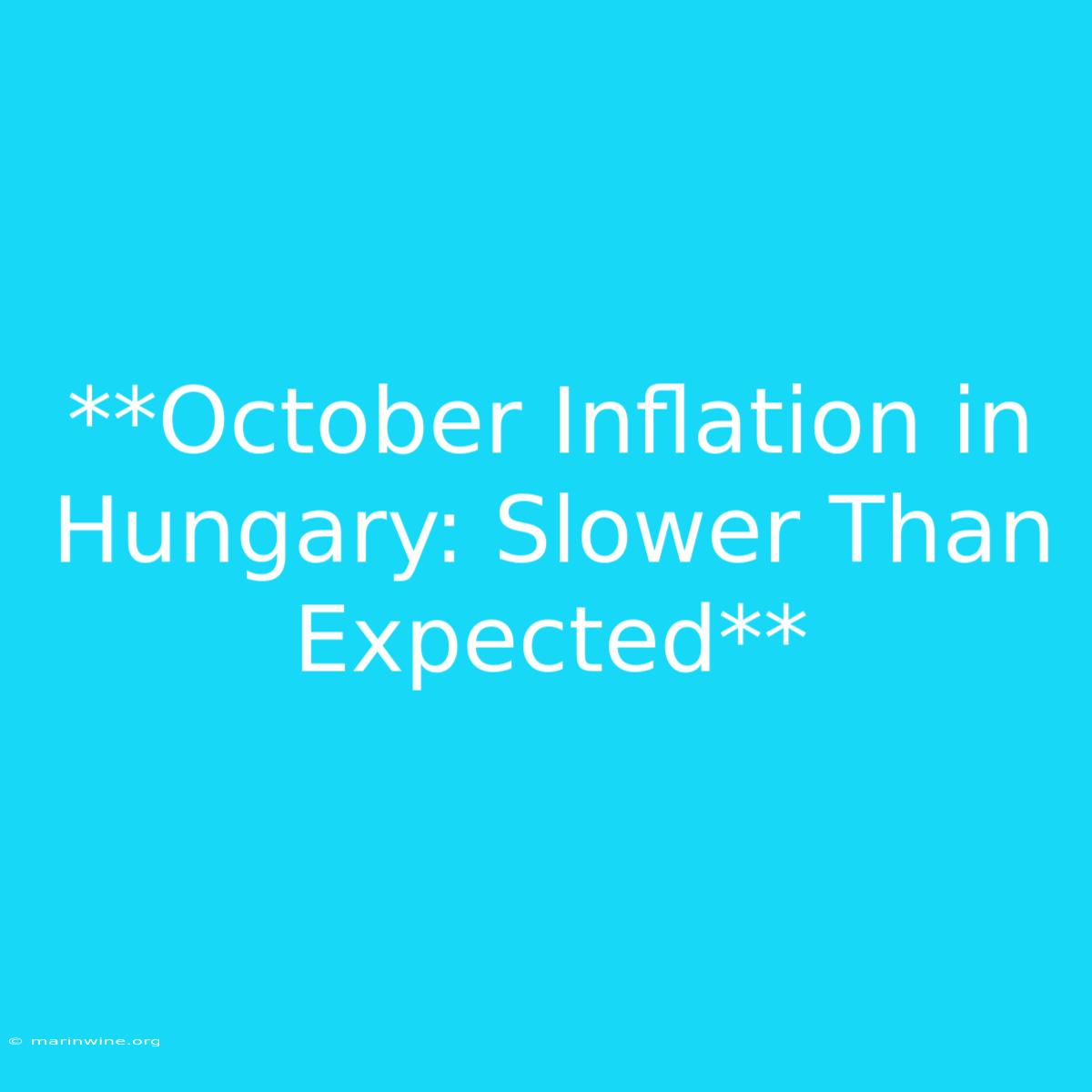 **October Inflation In Hungary: Slower Than Expected** 