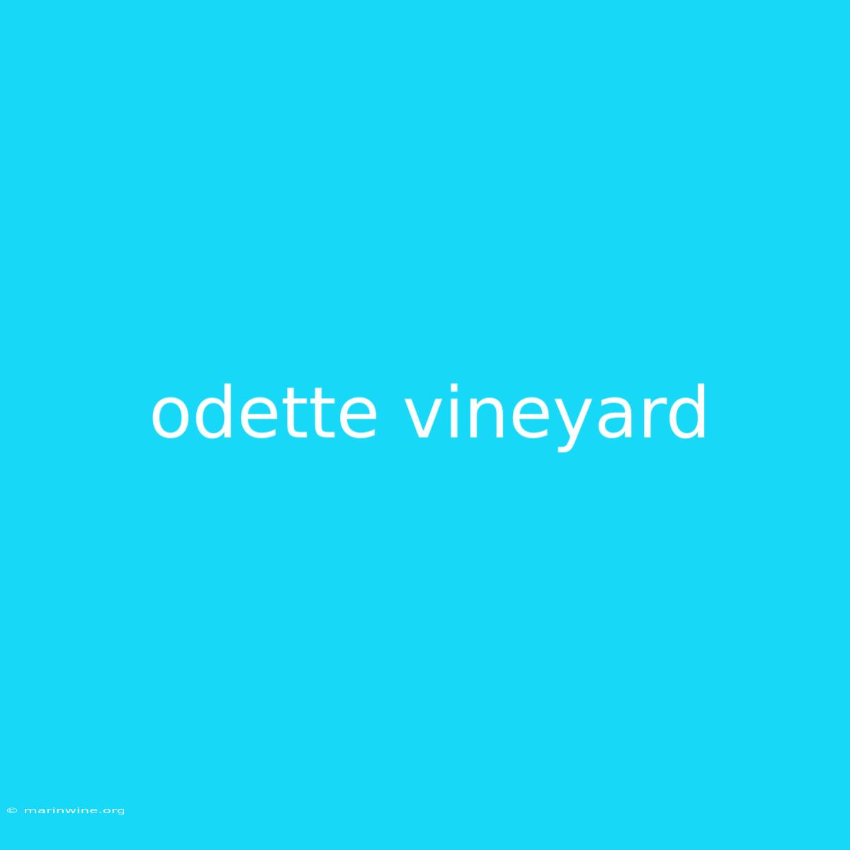 Odette Vineyard