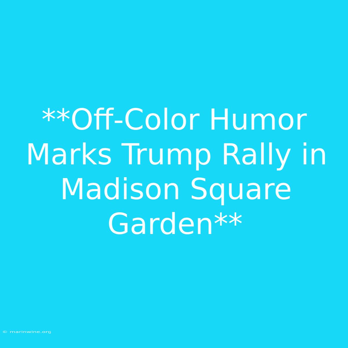 **Off-Color Humor Marks Trump Rally In Madison Square Garden**