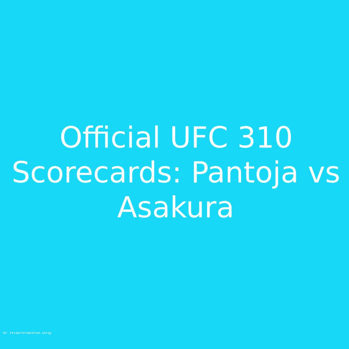 Official UFC 310 Scorecards: Pantoja Vs Asakura