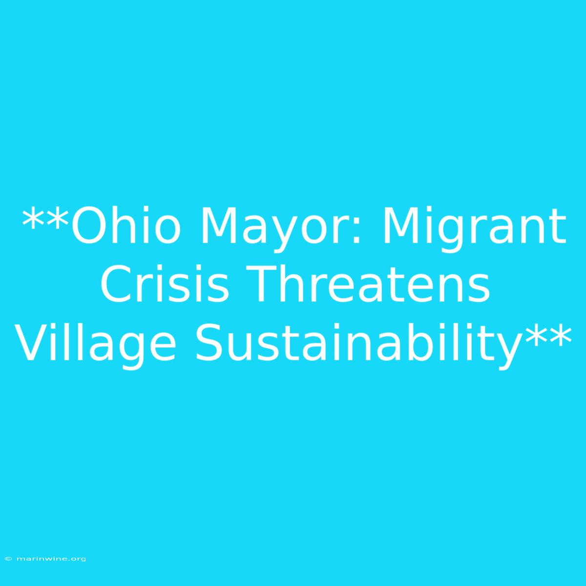 **Ohio Mayor: Migrant Crisis Threatens Village Sustainability** 