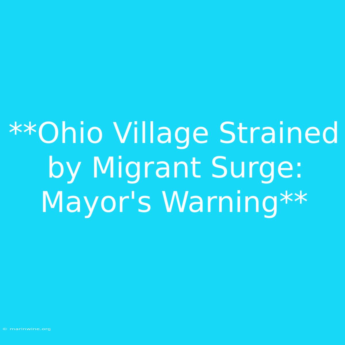 **Ohio Village Strained By Migrant Surge: Mayor's Warning**