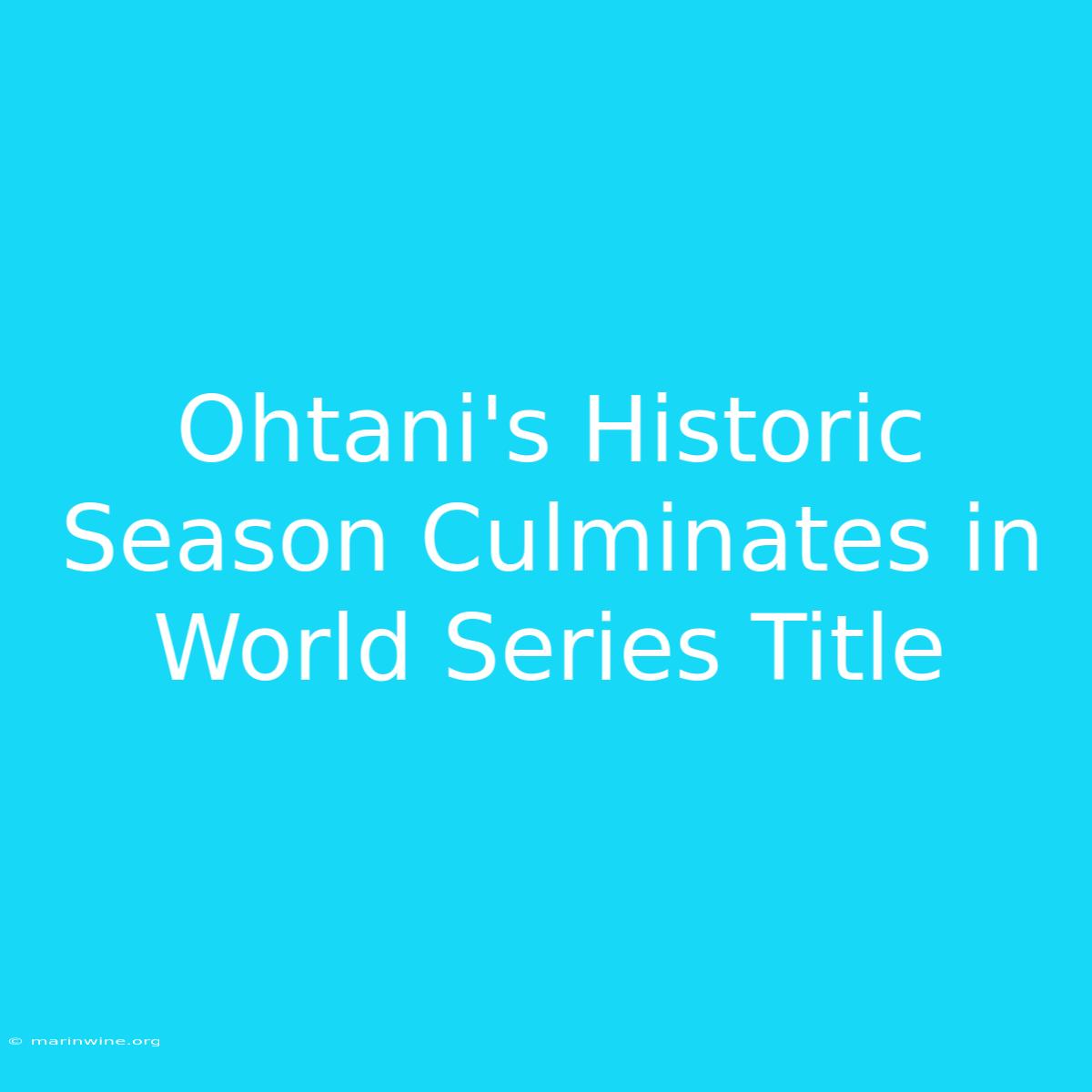 Ohtani's Historic Season Culminates In World Series Title