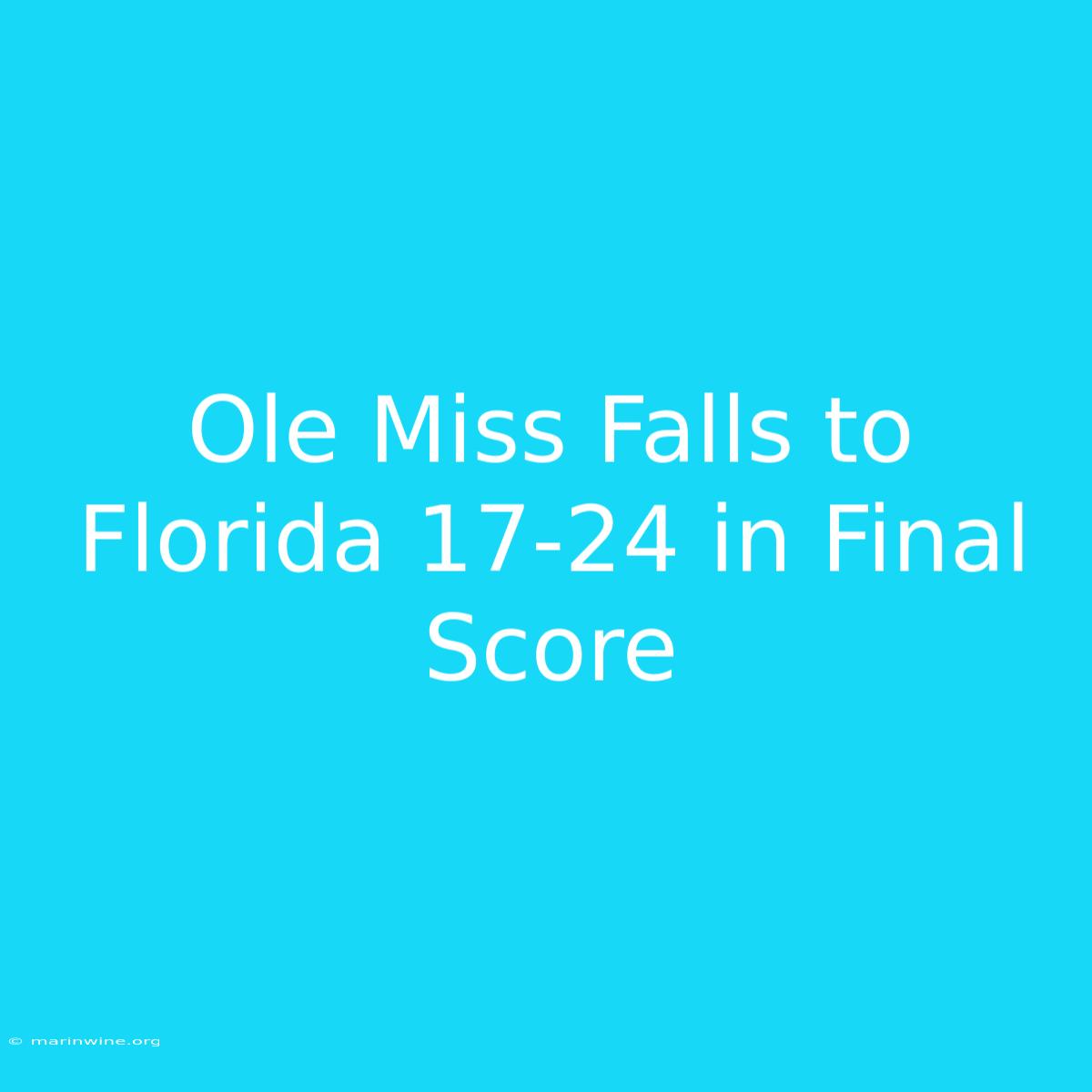 Ole Miss Falls To Florida 17-24 In Final Score