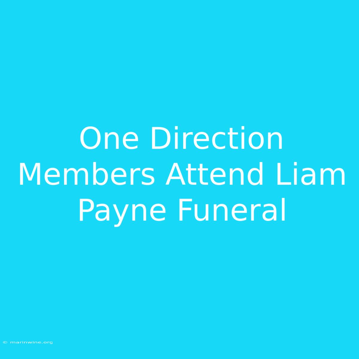 One Direction Members Attend Liam Payne Funeral