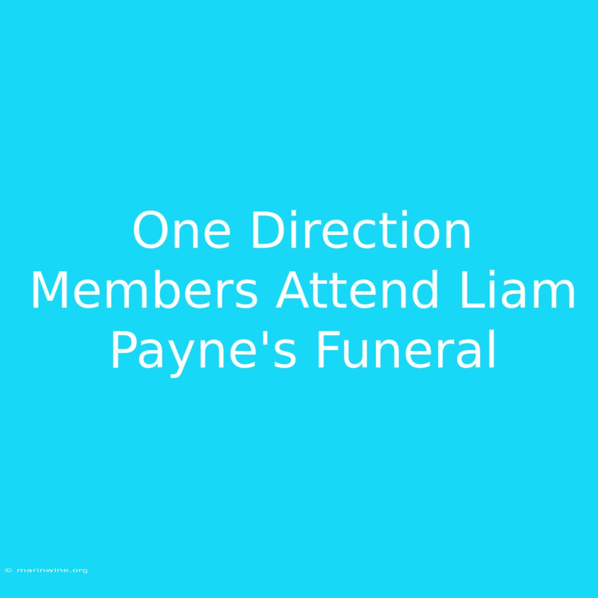 One Direction Members Attend Liam Payne's Funeral