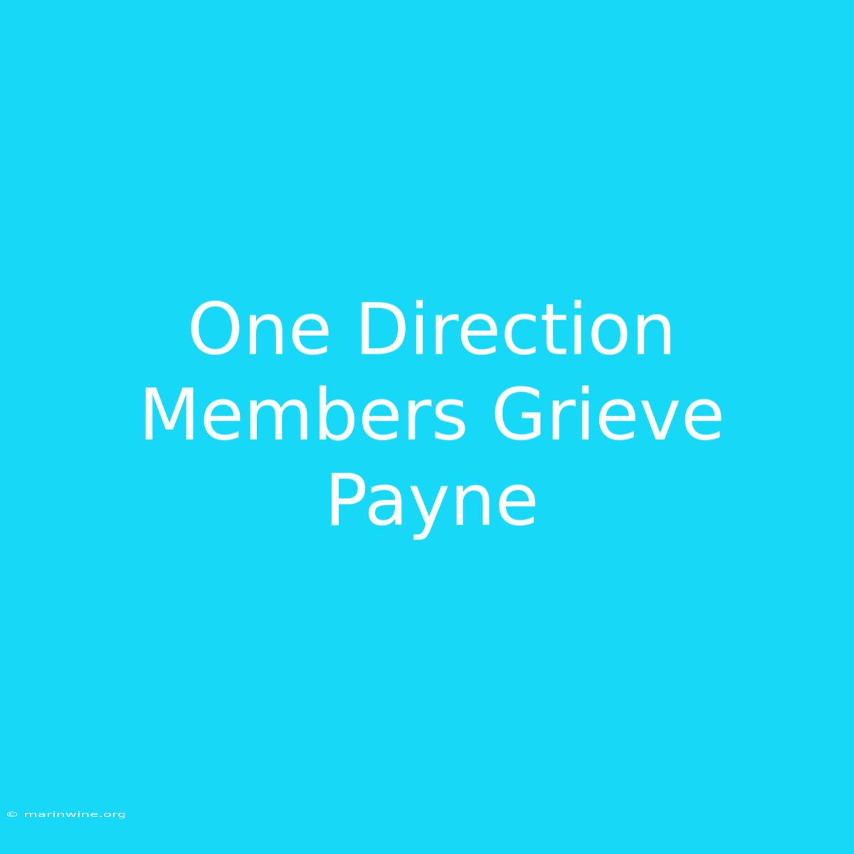 One Direction Members Grieve Payne