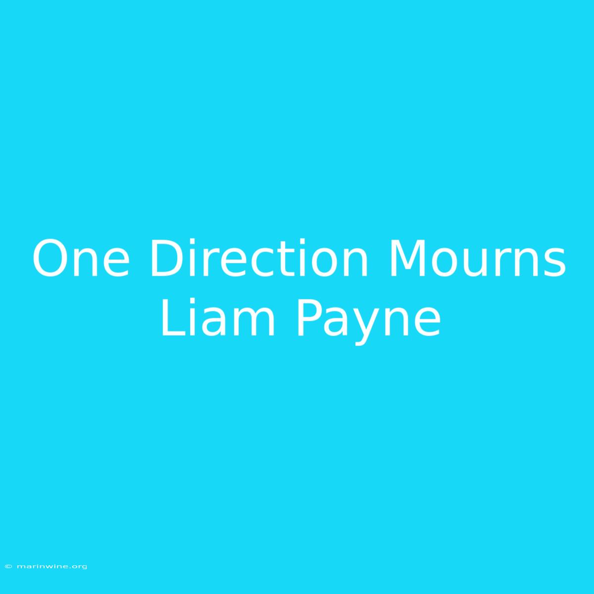 One Direction Mourns Liam Payne