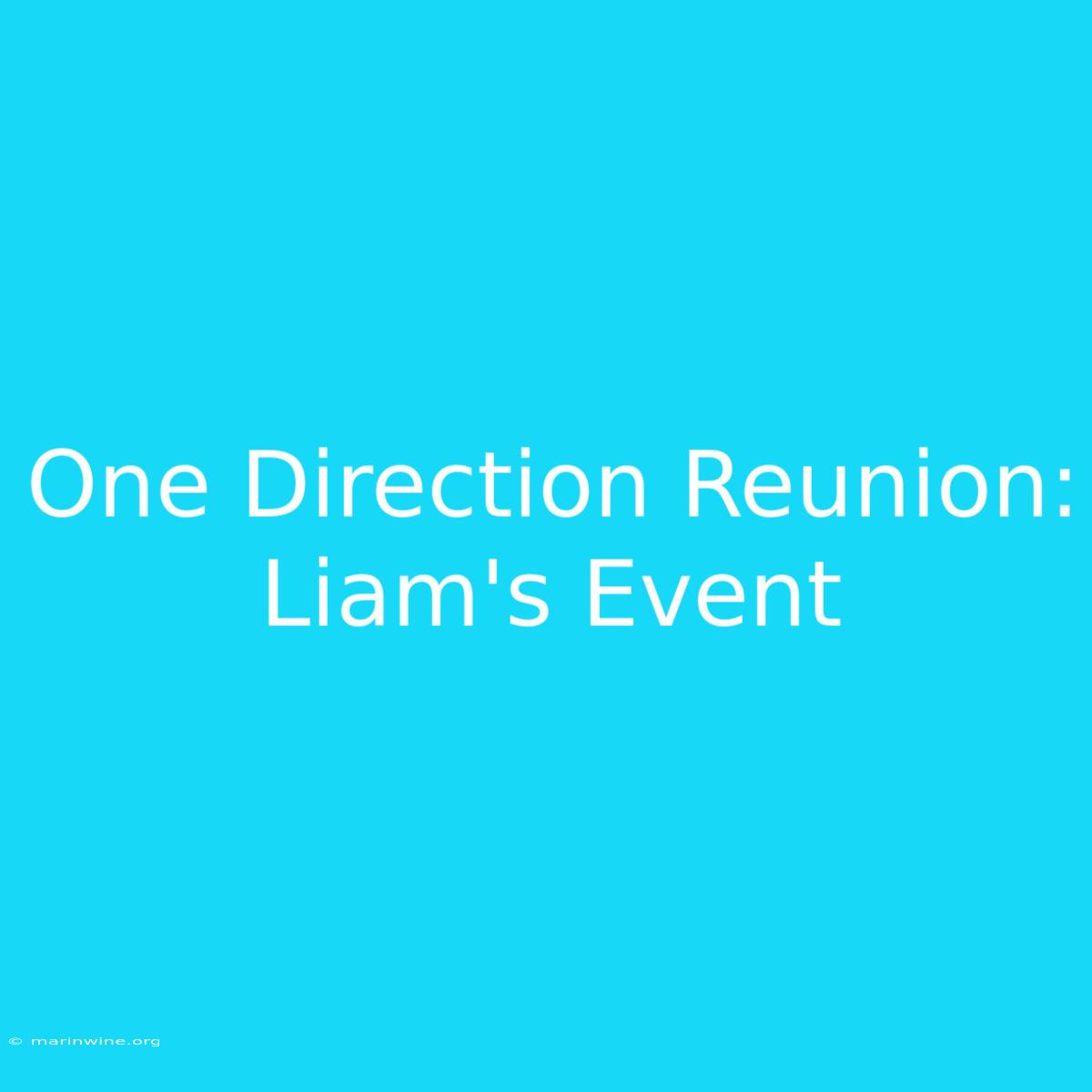 One Direction Reunion: Liam's Event