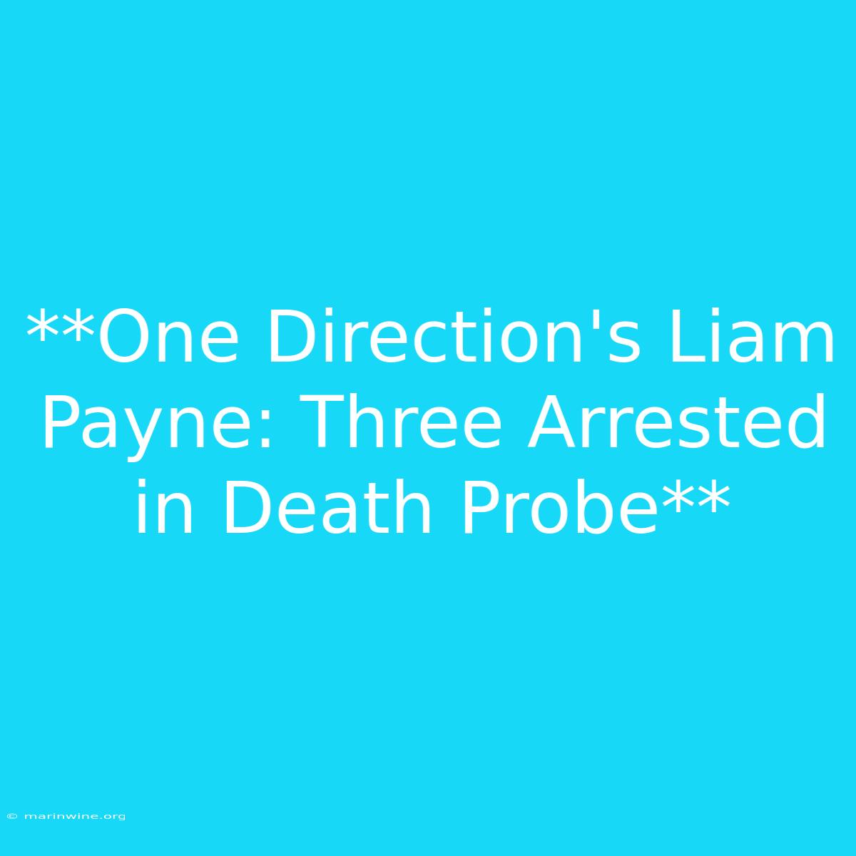 **One Direction's Liam Payne: Three Arrested In Death Probe** 