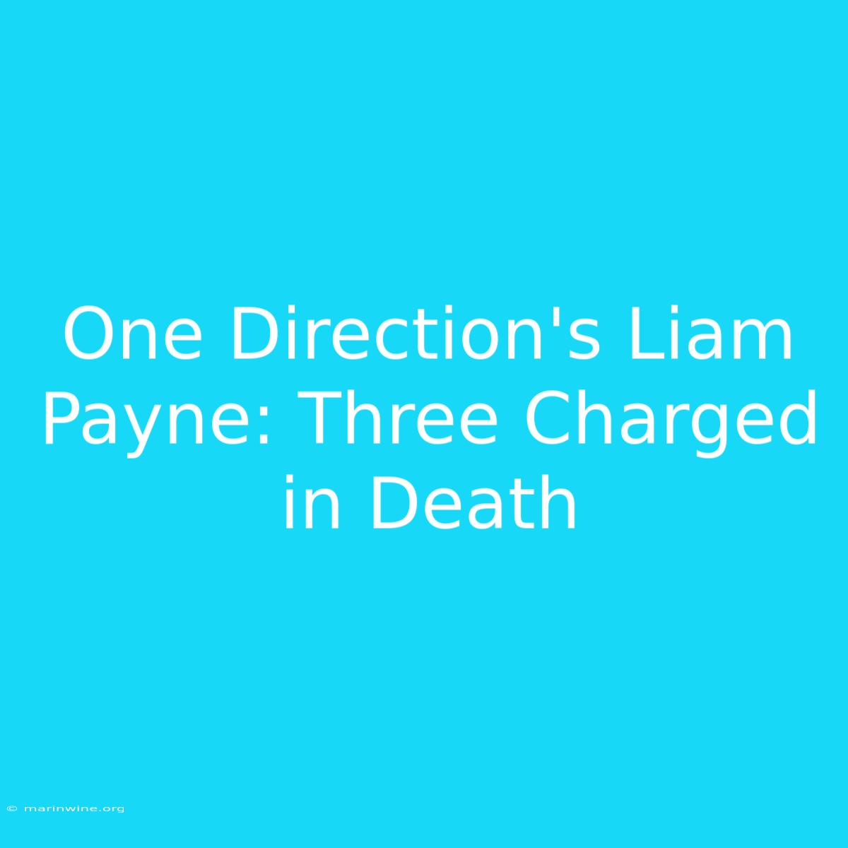 One Direction's Liam Payne: Three Charged In Death 