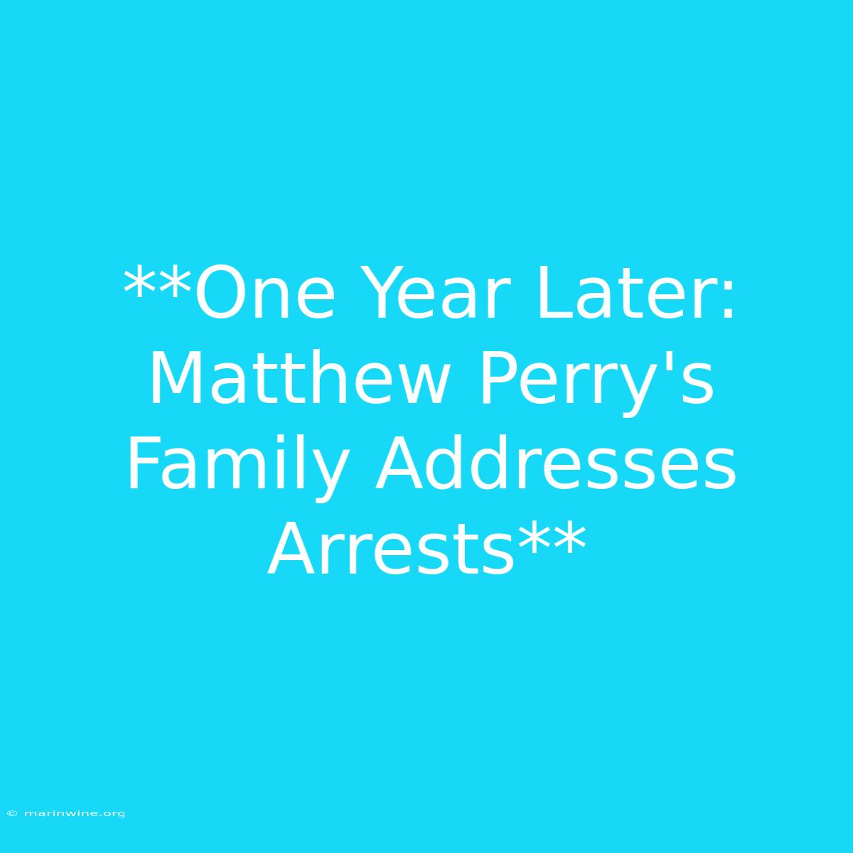 **One Year Later: Matthew Perry's Family Addresses Arrests**