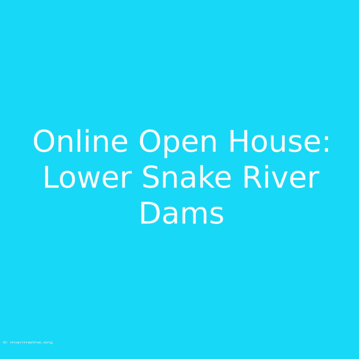 Online Open House: Lower Snake River Dams