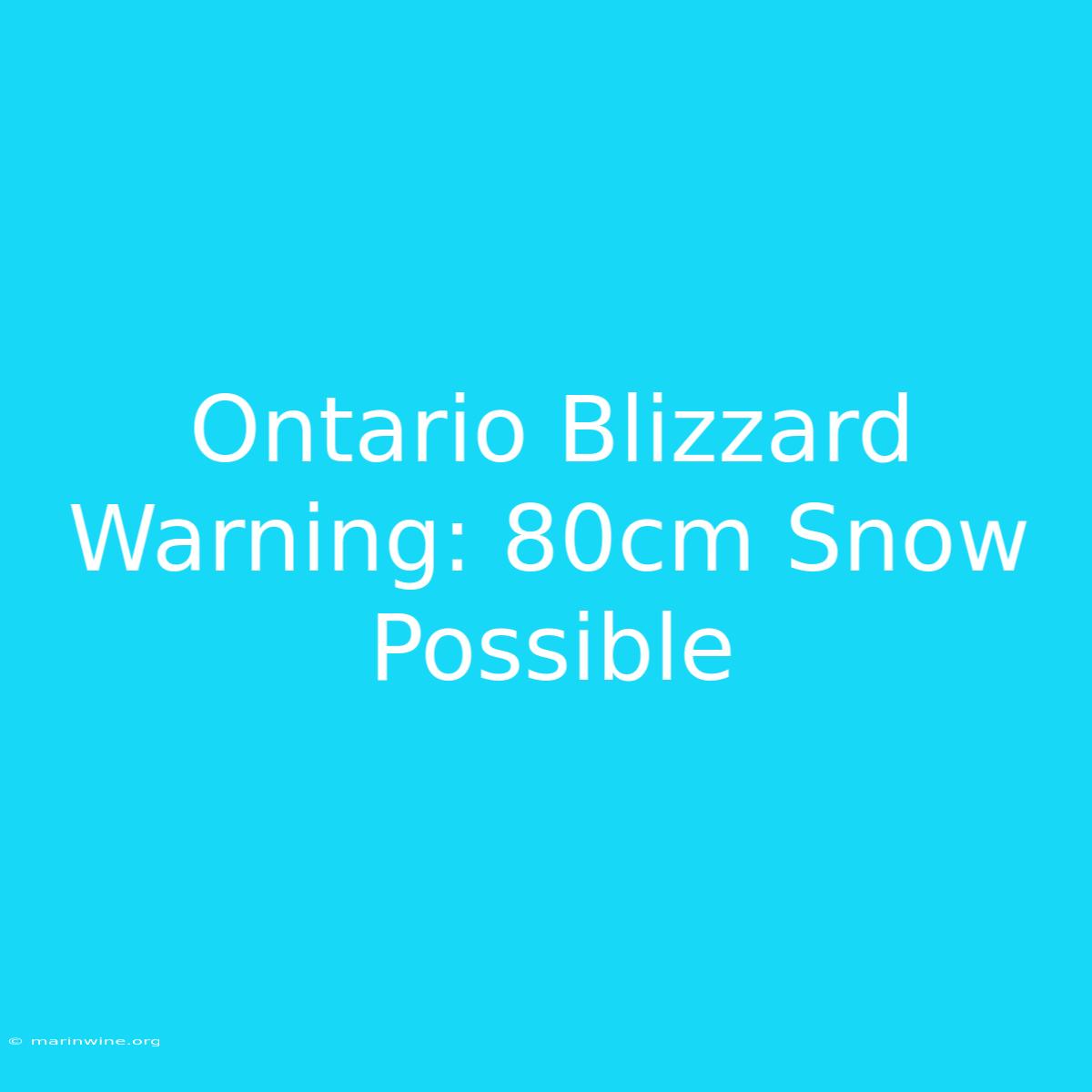 Ontario Blizzard Warning: 80cm Snow Possible