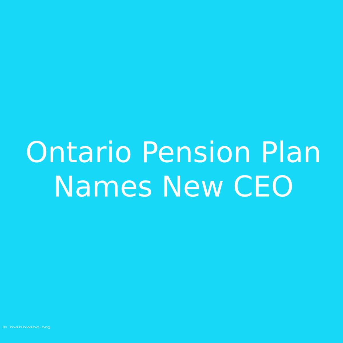 Ontario Pension Plan Names New CEO