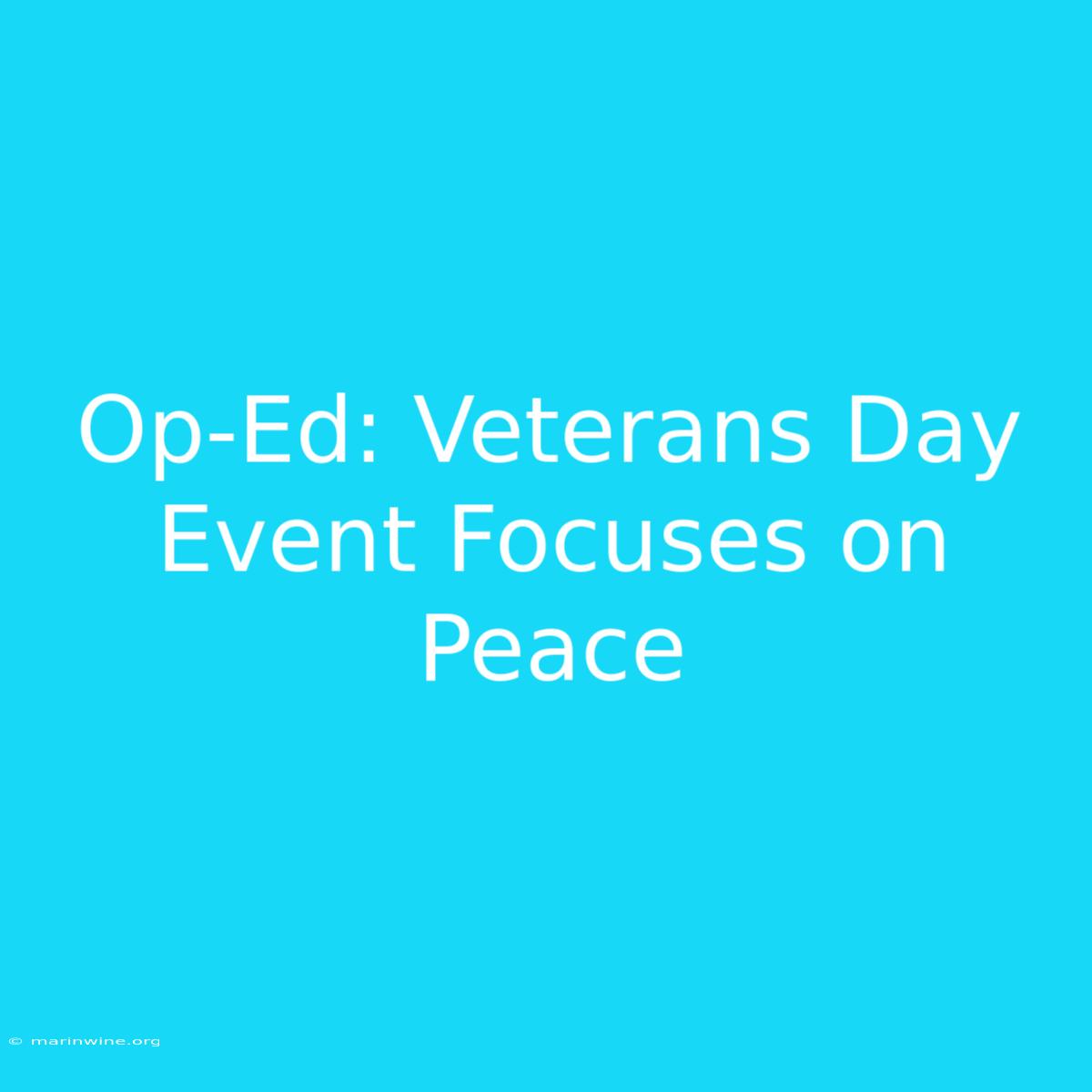 Op-Ed: Veterans Day Event Focuses On Peace