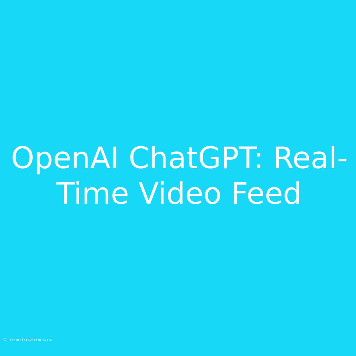 OpenAI ChatGPT: Real-Time Video Feed