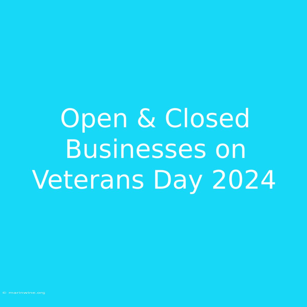 Open & Closed Businesses On Veterans Day 2024