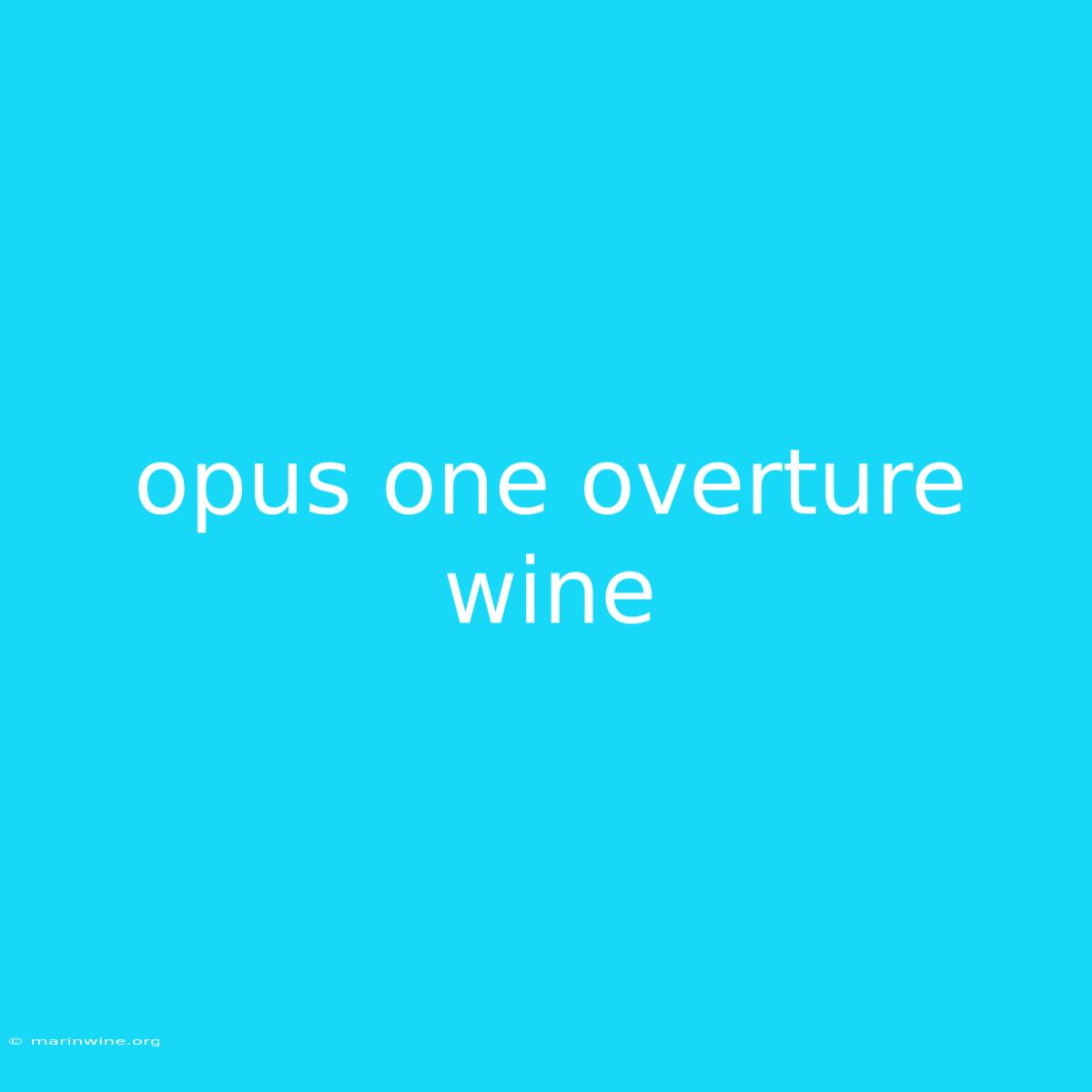 Opus One Overture Wine