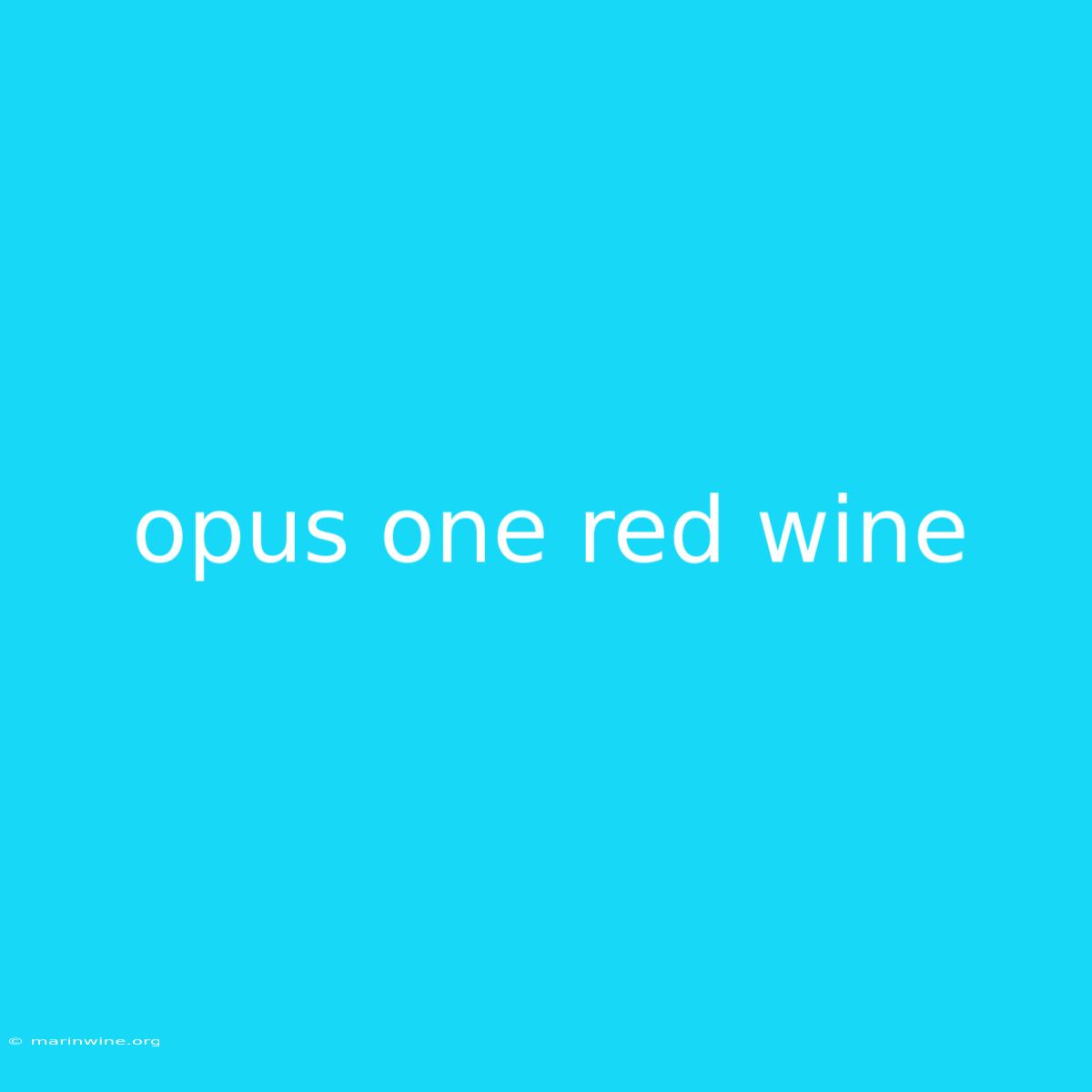 Opus One Red Wine