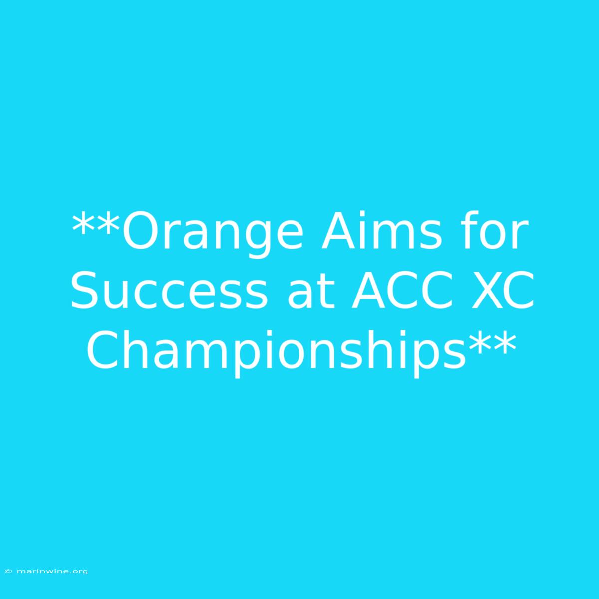 **Orange Aims For Success At ACC XC Championships** 