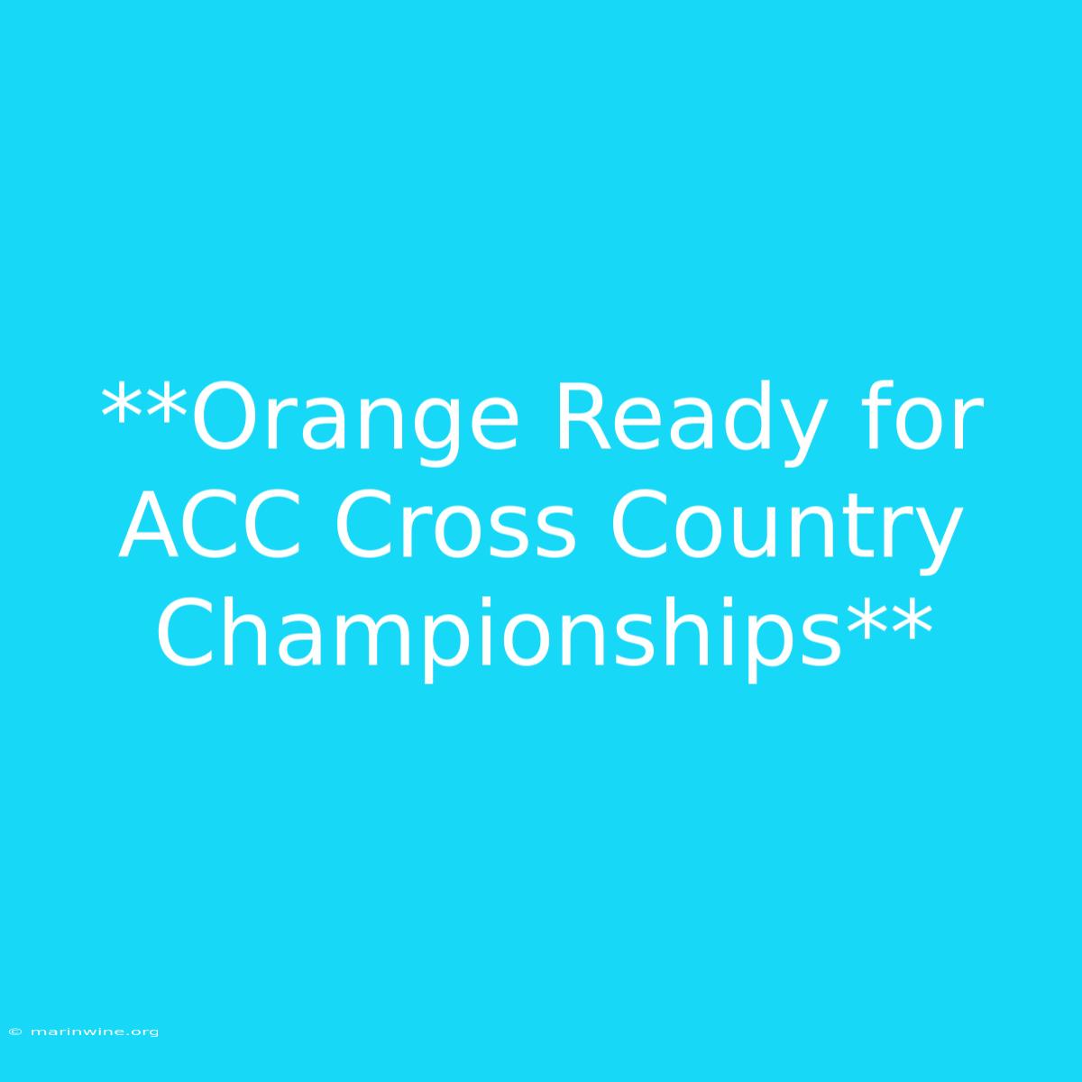 **Orange Ready For ACC Cross Country Championships**