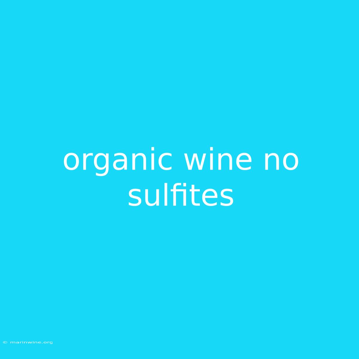 Organic Wine No Sulfites