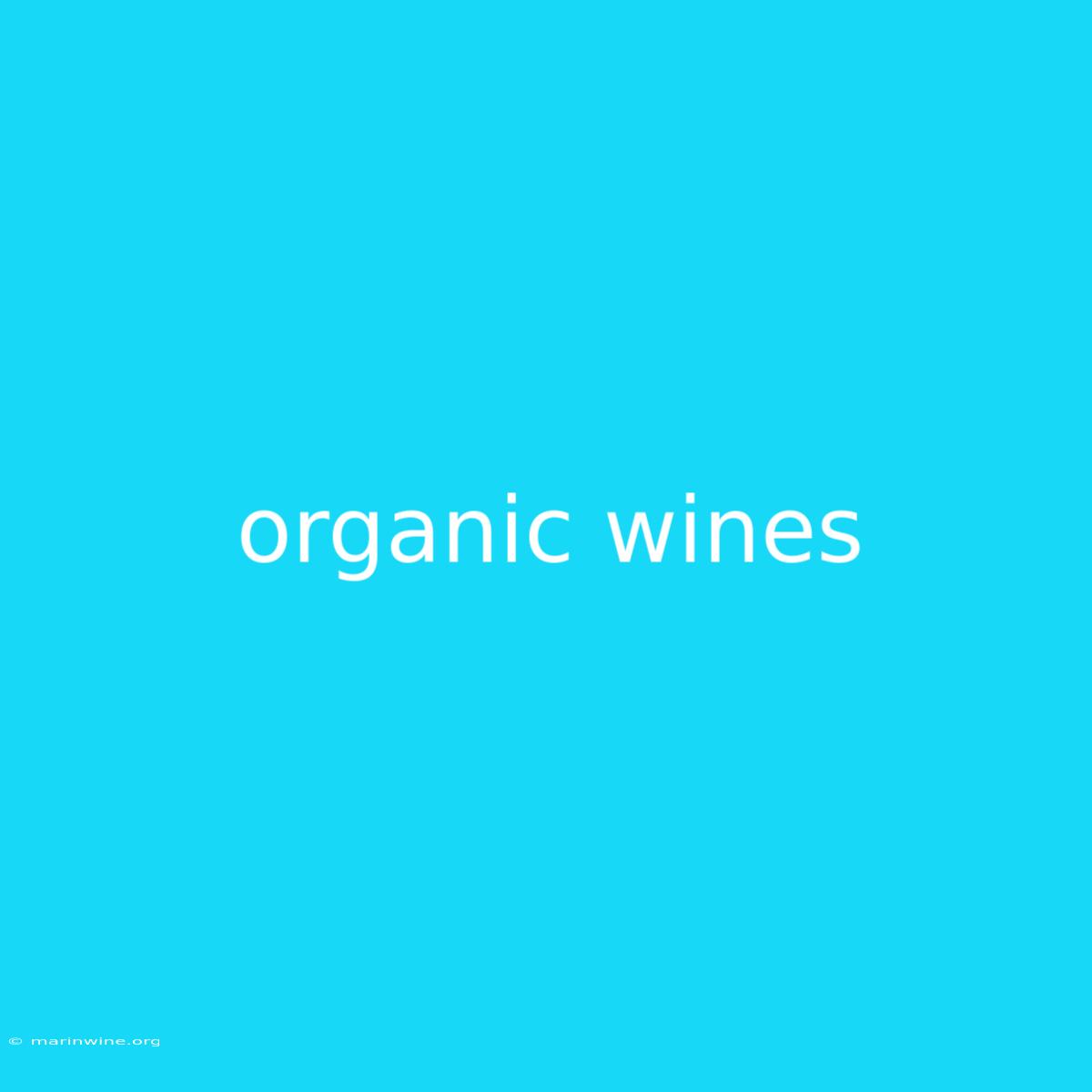 Organic Wines