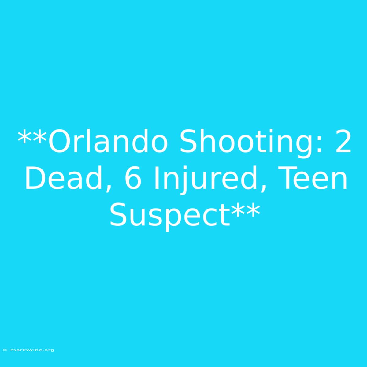 **Orlando Shooting: 2 Dead, 6 Injured, Teen Suspect** 