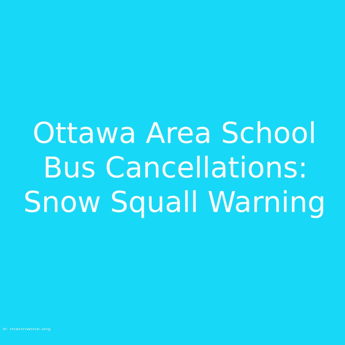 Ottawa Area School Bus Cancellations: Snow Squall Warning