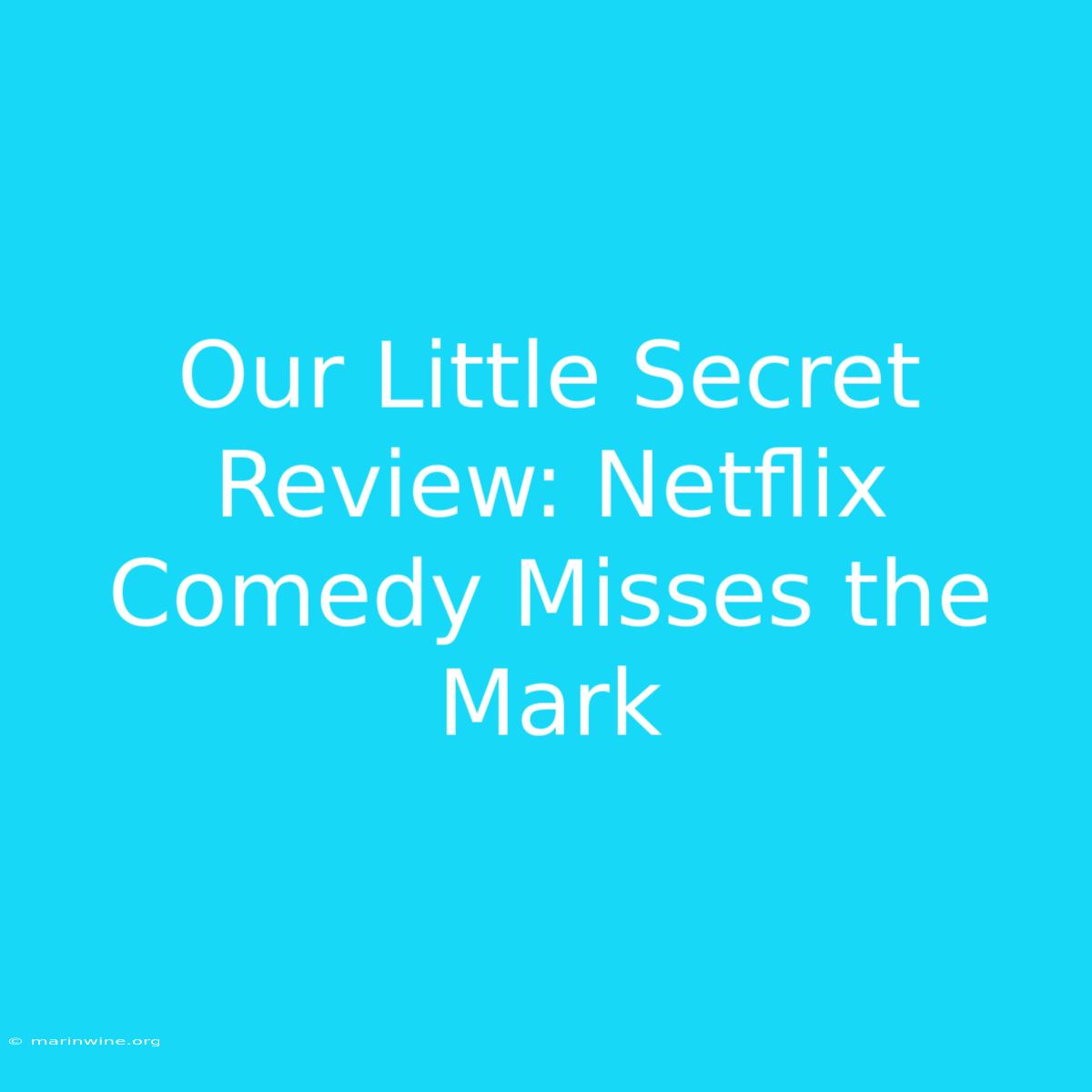 Our Little Secret Review: Netflix Comedy Misses The Mark