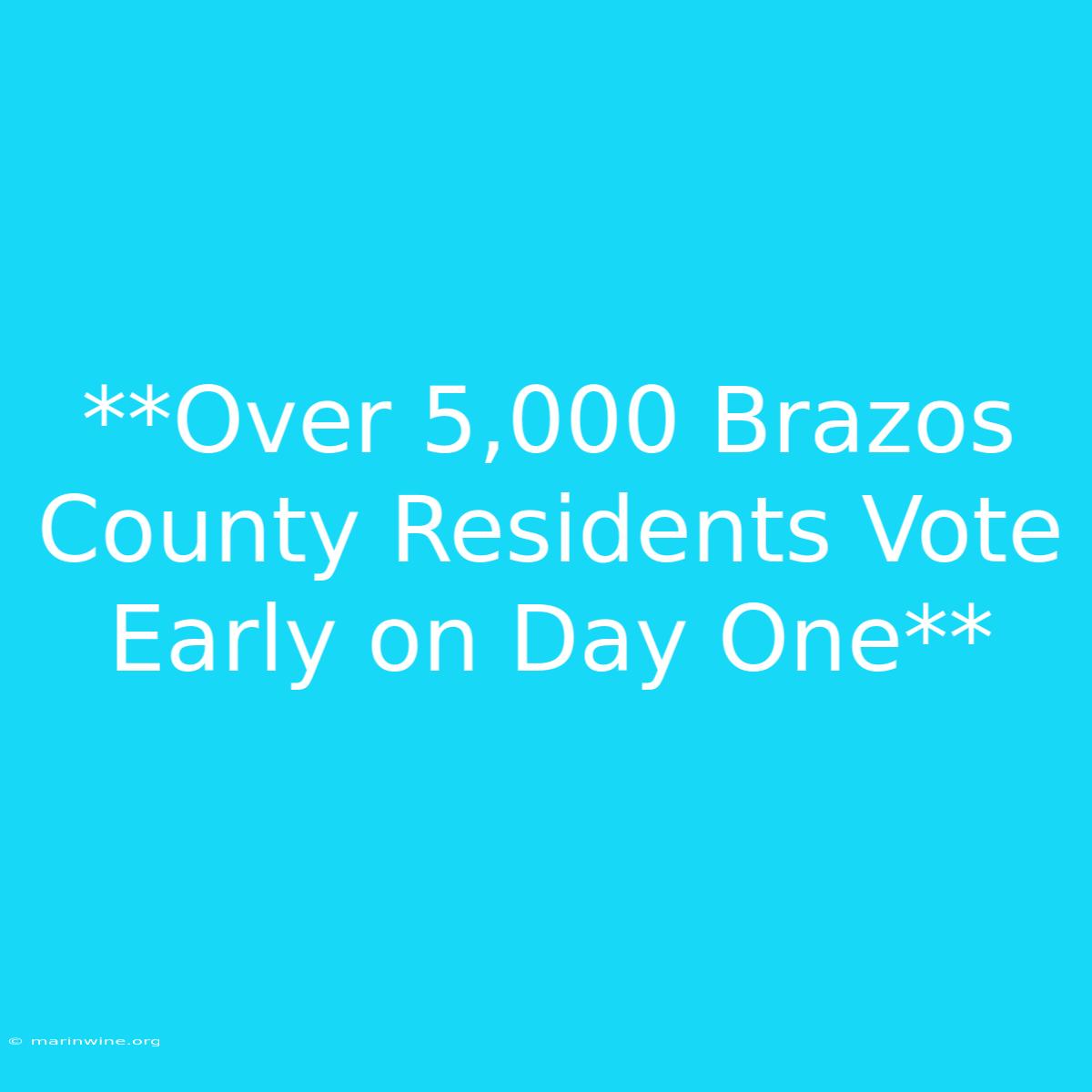 **Over 5,000 Brazos County Residents Vote Early On Day One**