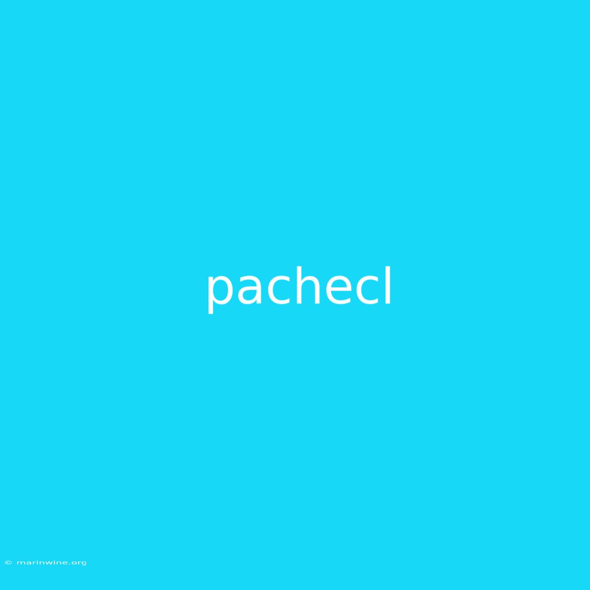 Pachecl