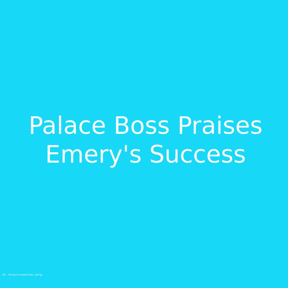 Palace Boss Praises Emery's Success