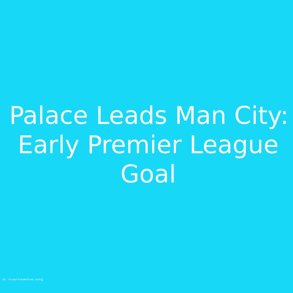 Palace Leads Man City: Early Premier League Goal